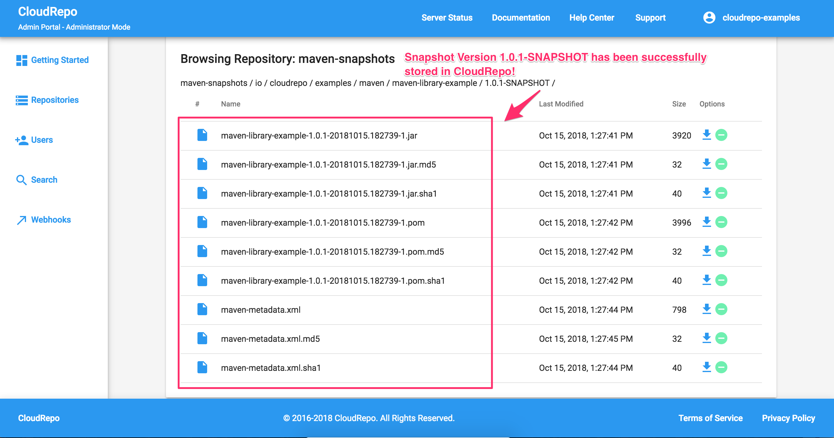 CloudRepo Snapshot Repository